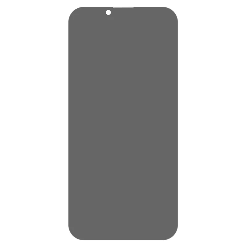 For iPhone 16 Pro Tempered Glass Screen Protector Anti-Spy Full Coverage Screen Film - 2